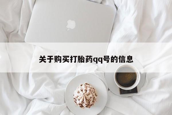 admin 第419页